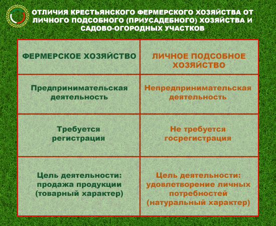 Реферат: Крестьянские фермерские хозяйства